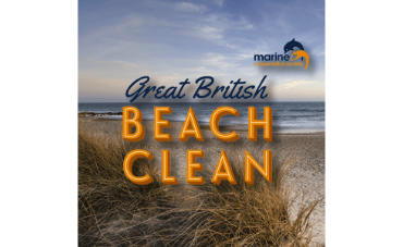 Great British Beach Clean!