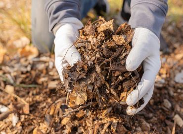Green Waste